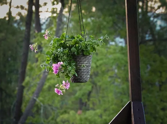 Cantinho Da Gandara * Arcos de Valdevez